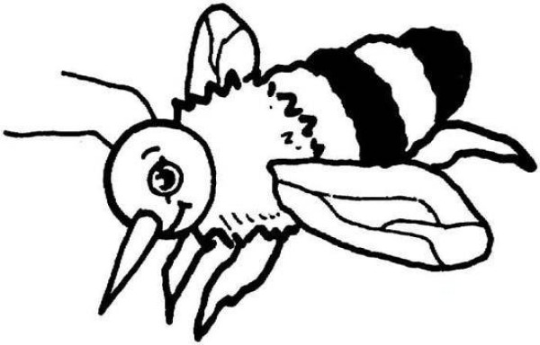 Childrens simple drawing of bee