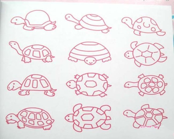 A collection of simple drawing pictures of various forms of turtles