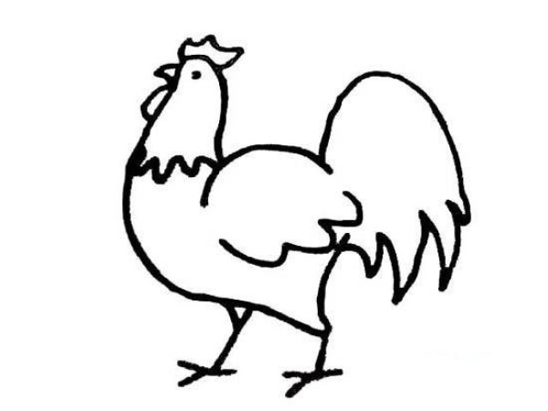 Rooster simple strokes picture