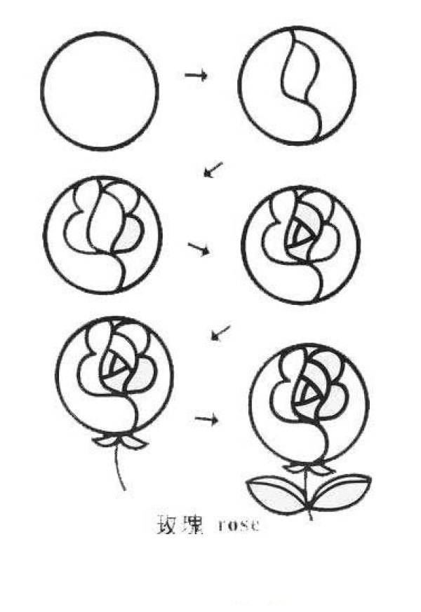 Simple drawing tutorial of rose flower