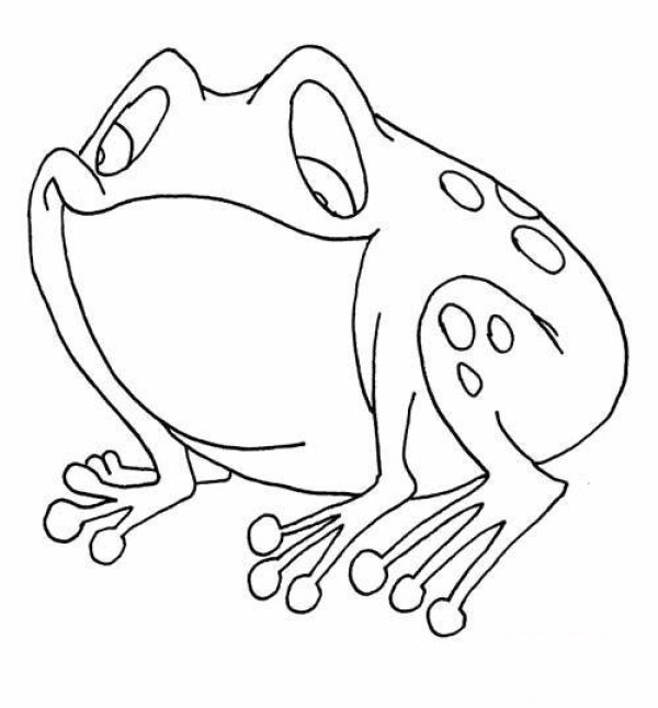 Simple drawing picture of sleeping frog