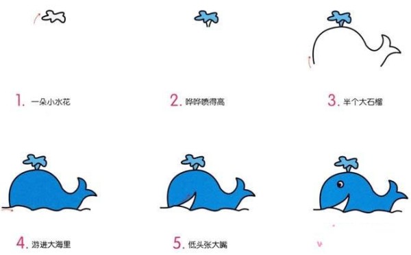 How to draw a whale in simple strokes: How to draw a whale