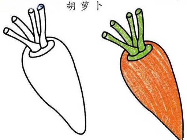 Simple drawing of colorful carrots