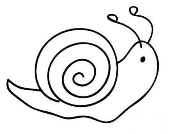 Simple drawings about snails