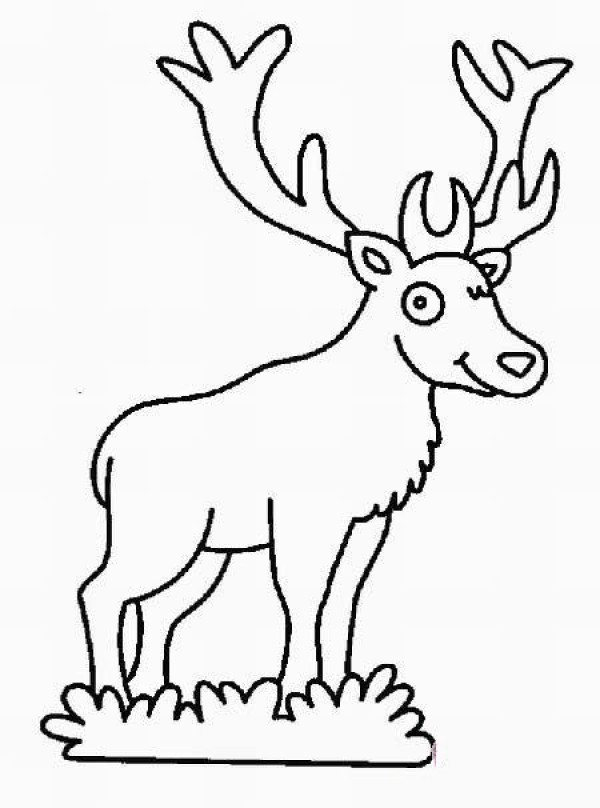 Childrens Christmas Elk Simple Drawing Picture