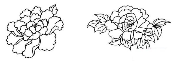 Elementary school students' simple drawing pictures of peony flowers