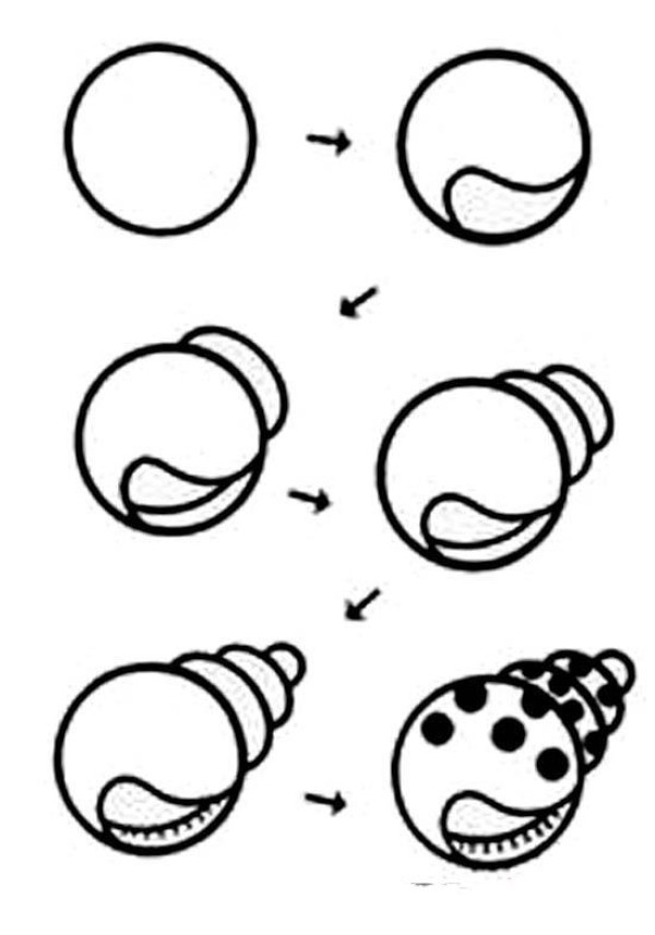 How to draw seashells in simple strokes: How to draw seashells