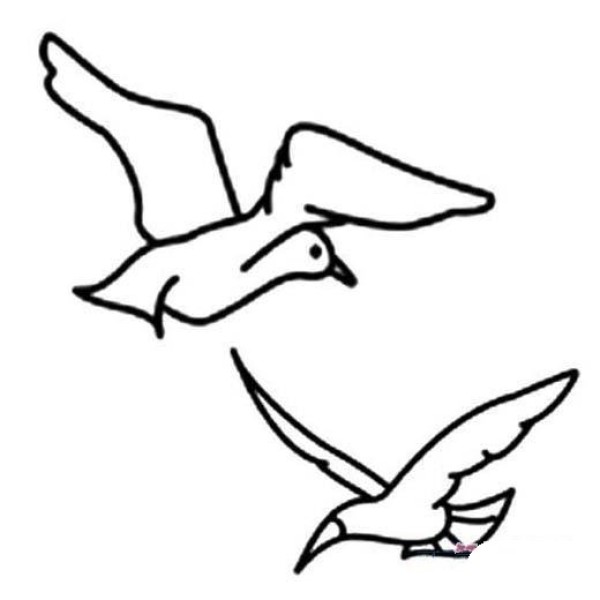 Complete picture collection of simple strokes of two seagulls