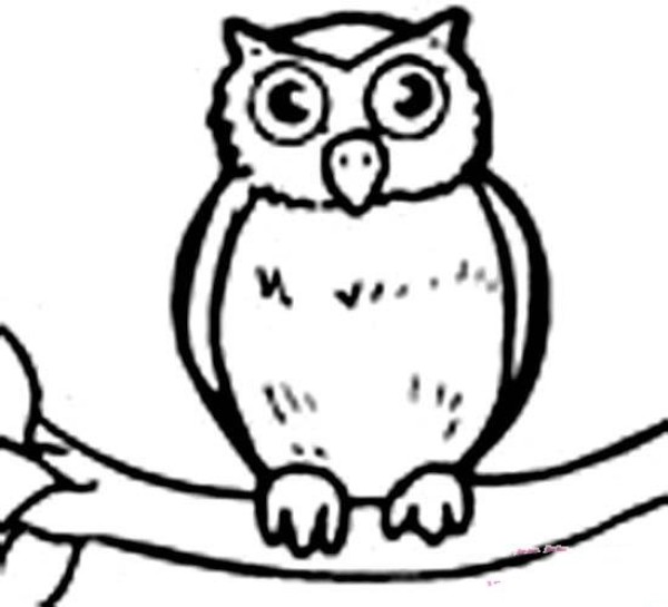 A complete collection of simple drawing pictures of owl on the tree