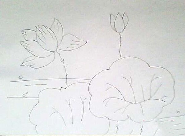 Lotus lotus leaf pond simple drawing