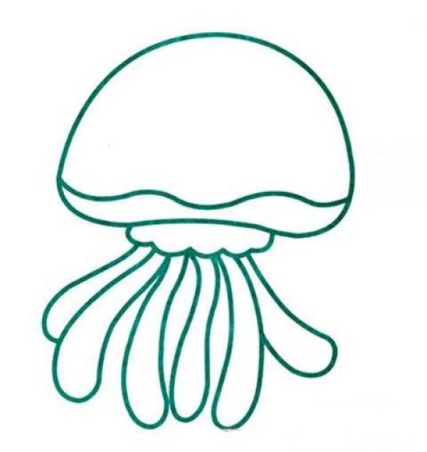 Simple drawing of marine life: jellyfish