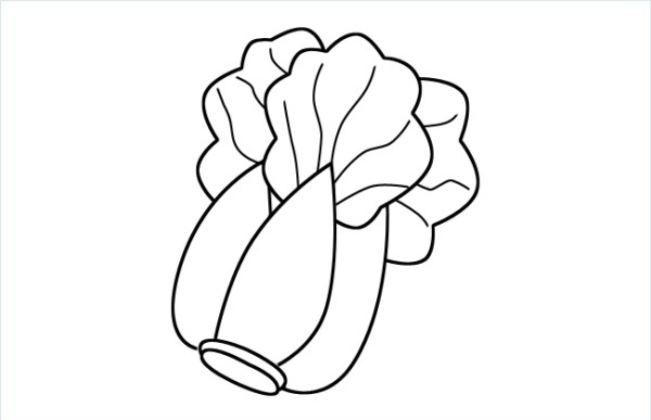 Simple strokes of Chinese cabbage