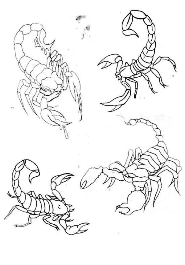 Complete picture of scorpion simple strokes