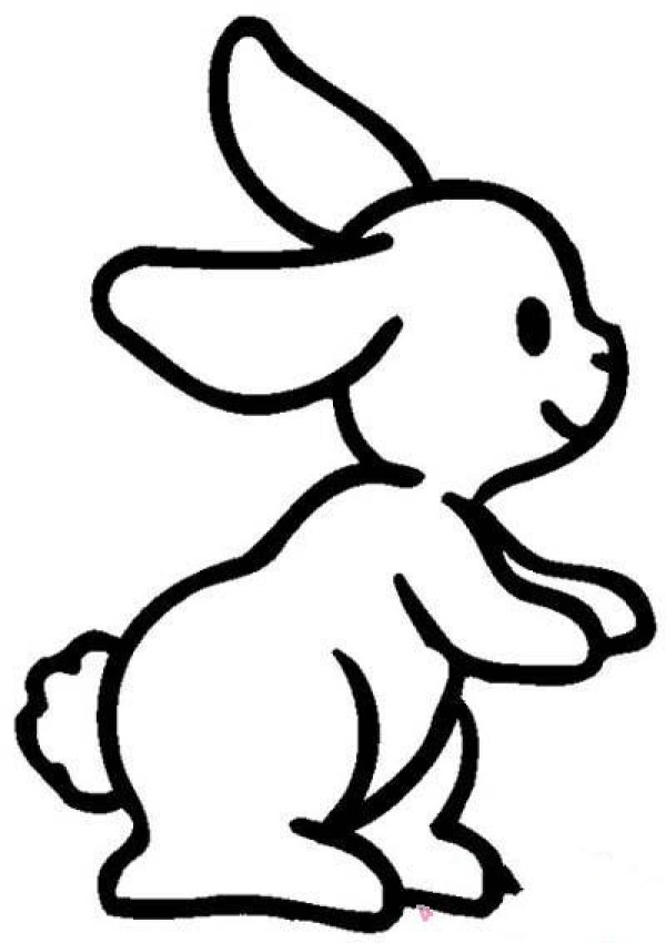 Simple drawing pictures of cute and cute little rabbits for children