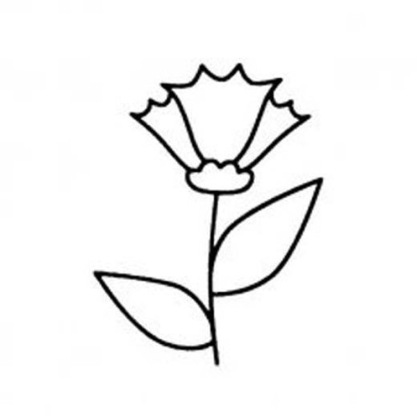 Childrens simple drawing pictures of carnations