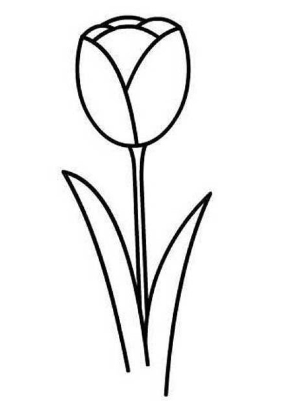 Childrens simple drawing pictures of tulips