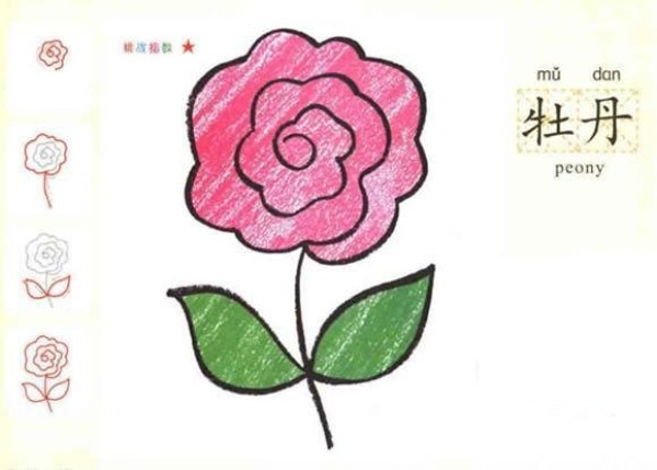 Childrens simple drawing pictures of peonies