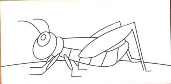 A complete collection of pictures of simple strokes of locusts in kindergarten