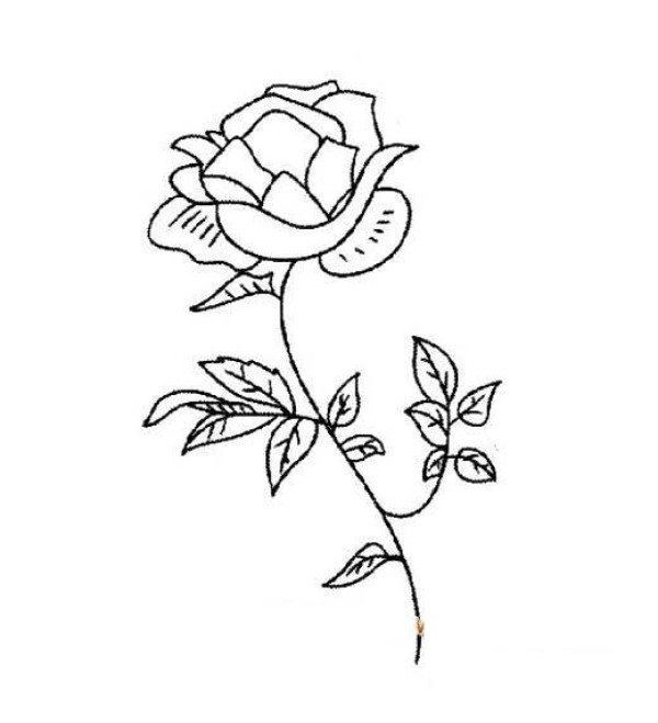 Beautiful simple drawing pictures of roses