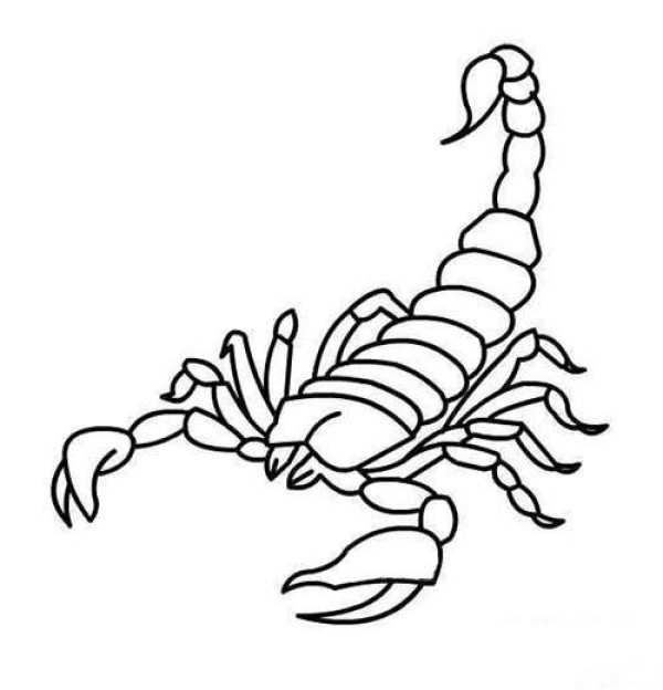 Scorpion simple strokes picture