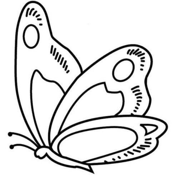 Simple strokes of butterfly pictures