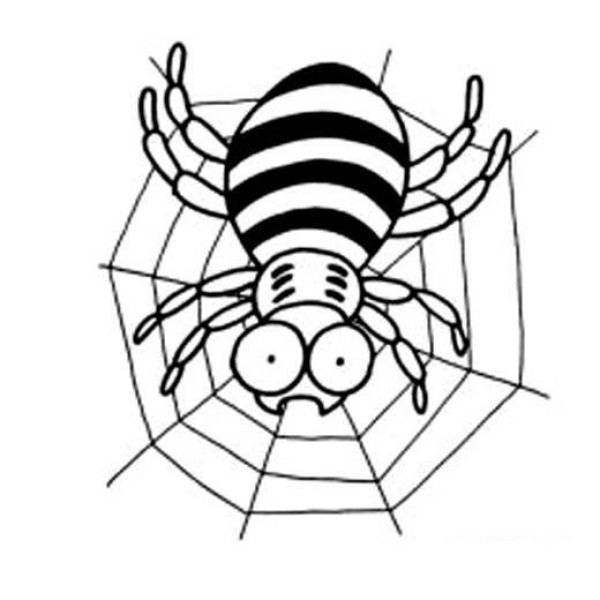 Simple drawing picture of spider crawling on the web