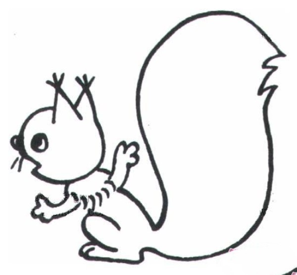 Simple drawing picture of squirrel with big tail