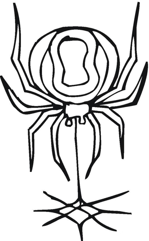 Simple drawing of spider spinning silk