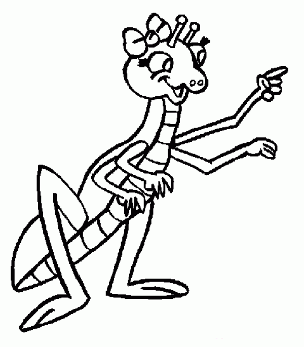 Cartoon female mantis simple drawing picture