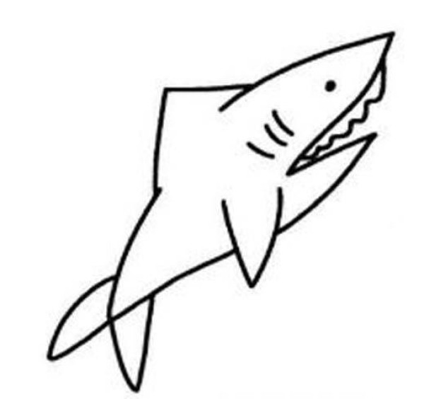 Childrens simple drawing pictures of sharks