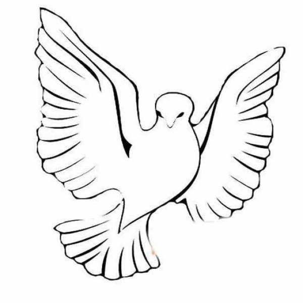 Childrens National Day Peace Dove Simple Drawing Picture