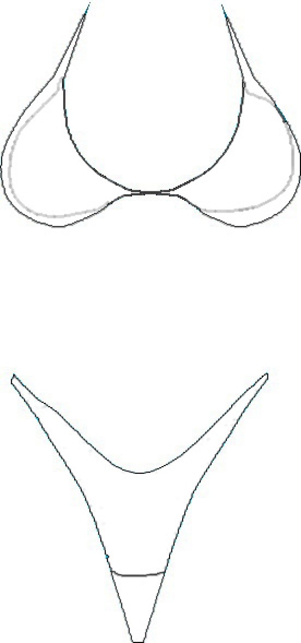 Womens underwear simple drawing