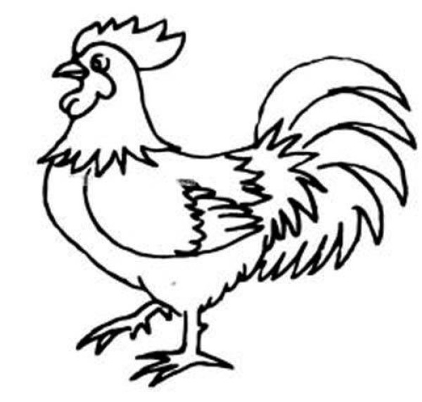 Year of the Rooster New Year Theme Simple Drawing Picture