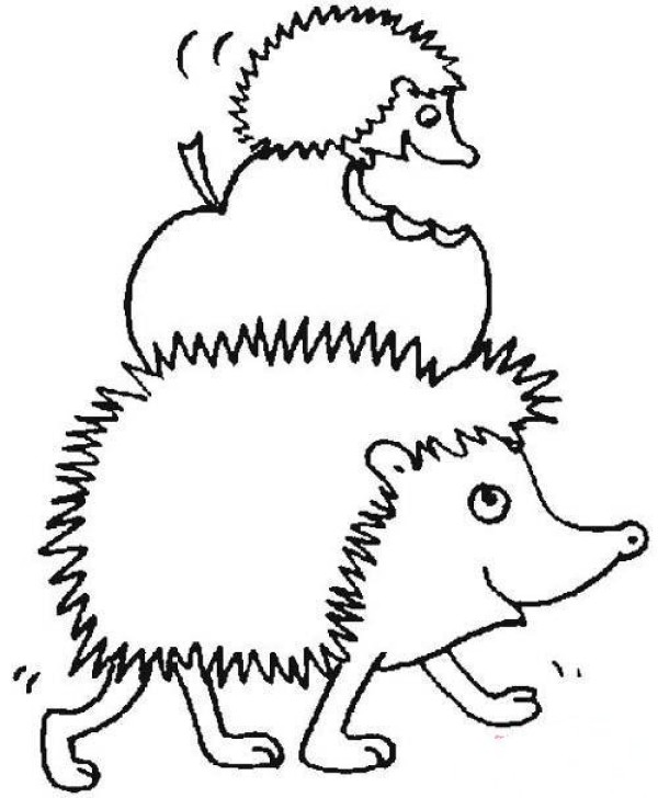 Simple drawing picture of mother hedgehog and little hedgehog