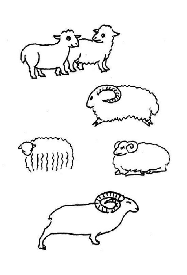 A complete collection of simple drawings of various sheep