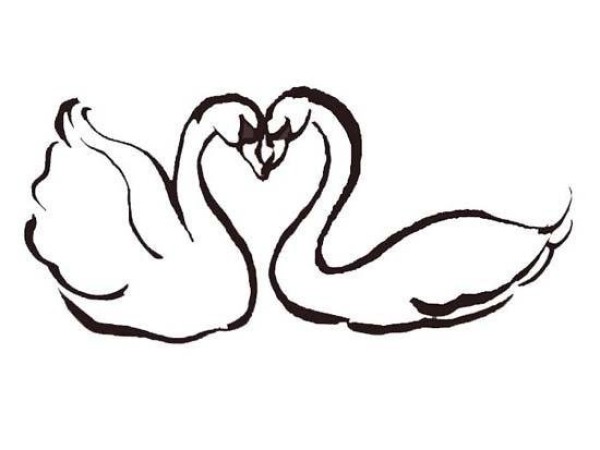 Simple strokes of a pair of swans