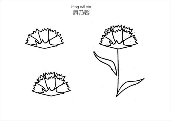 How to draw carnations