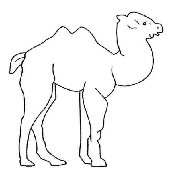 Childrens simple drawings: camel