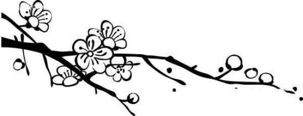 Simple drawing of plum blossom tree trunk