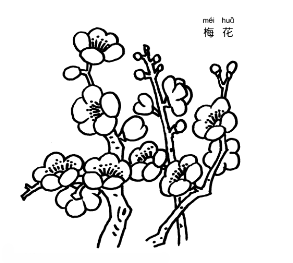 How to draw plum blossoms