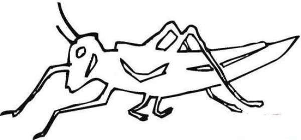 Line drawing locust outline simple picture