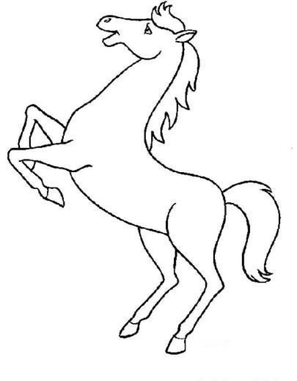 Childrens simple drawing of horse