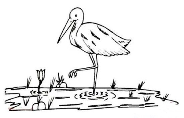 Simple drawing picture of red-crowned crane in swamp