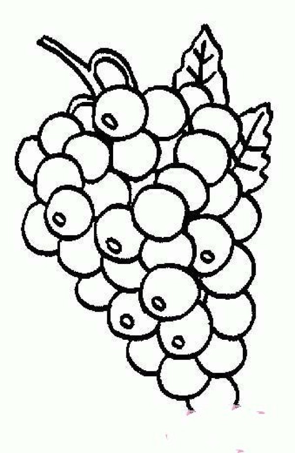 Simple drawing of grapes