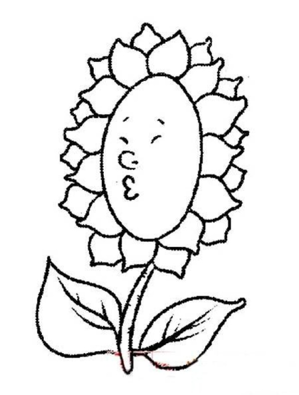 Cute sunflower simple strokes picture