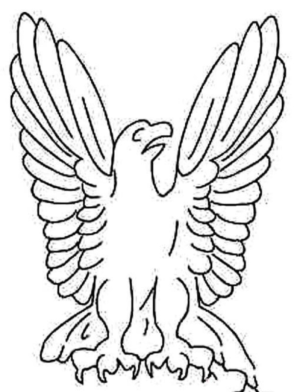 Complete picture of simple strokes of eagle logo