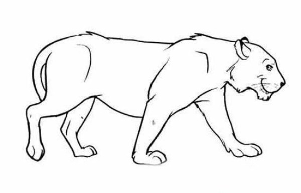 Simple strokes of lioness