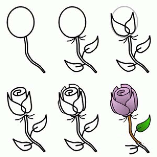 Simple drawing tutorial on how to draw a rose