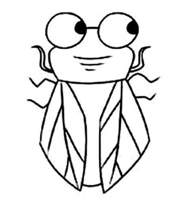 Childrens cartoon cicada simple drawing picture