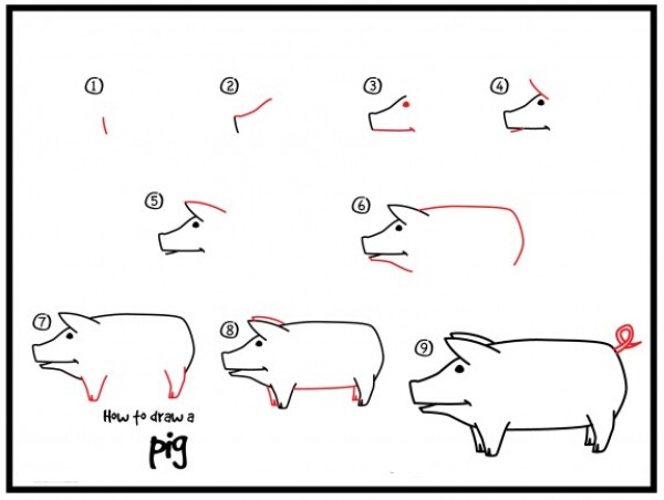 How to draw a pig